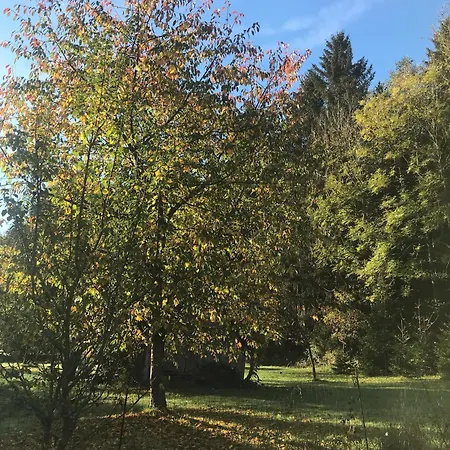 Berghuette Mit Privatem Naturschwimmteich *