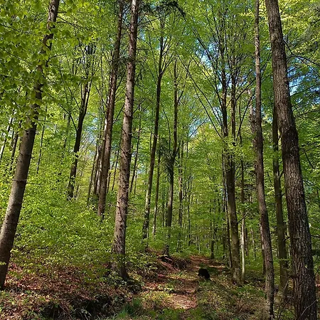 1000 Kraut Haus Laimbach am Ostrong