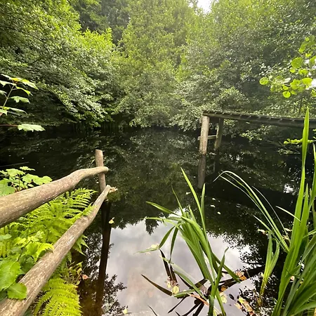 بيت للعطل Berghuette Mit Privatem Naturschwimmteich *