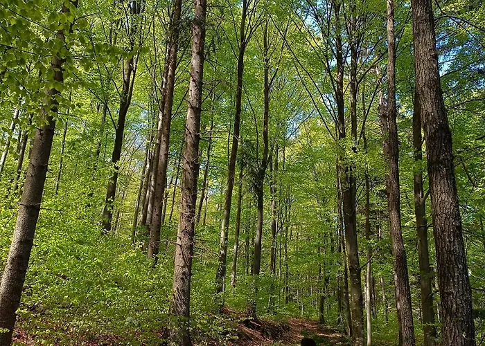 1000 Kraut Haus Laimbach am Ostrong