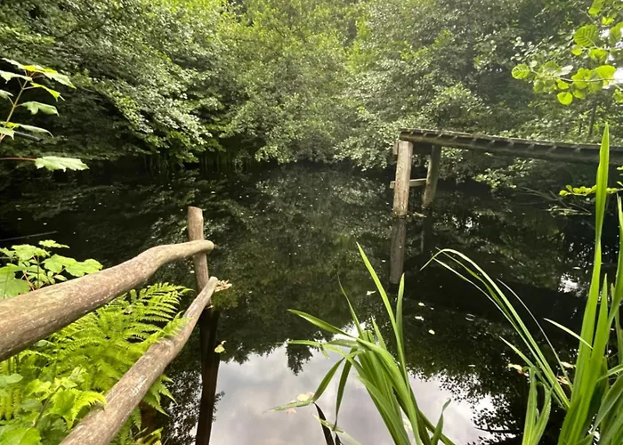 Feriehus 1000 Kraut Haus *